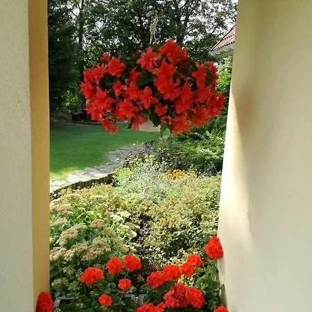 Gasthuis River Rose 4*