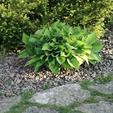 River Rose 게스트하우스 Jõesuu