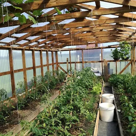 River Rose 게스트하우스 Jõesuu