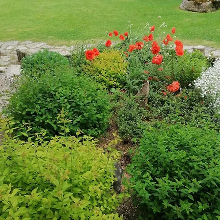 Gasthof River Rose 4*