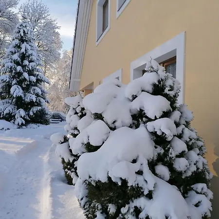 Guest house River Rose Joesuu (Parnumaa)