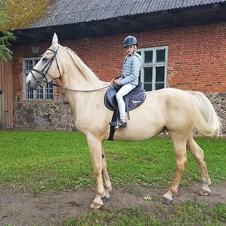 Gasthuis River Rose Jõesuu