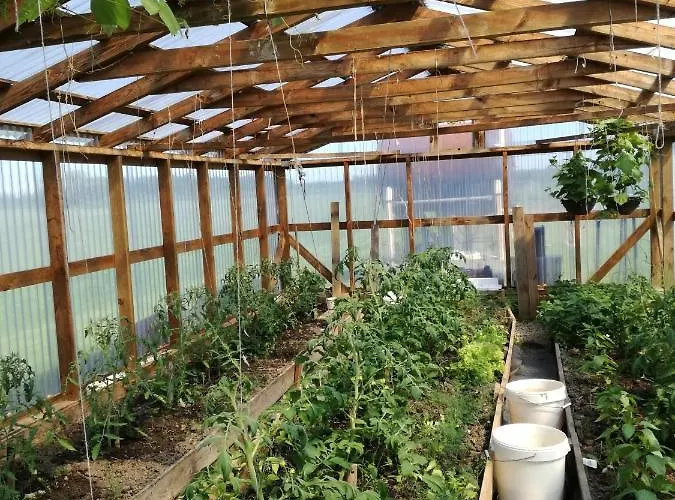 River Rose Vendégház Jõesuu