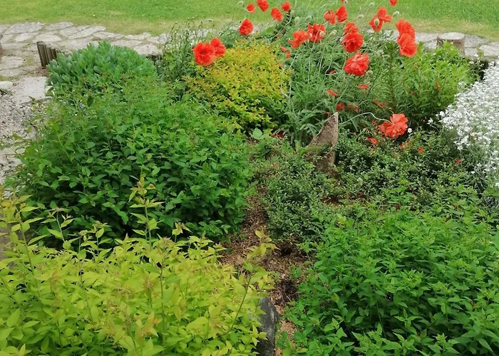 Vendégház River Rose 4*