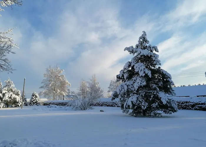 River Rose 4* Jõesuu