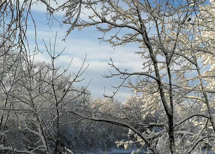 Vendégház River Rose