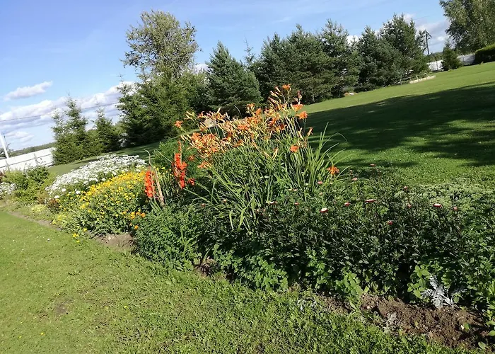 River Rose Vendégház