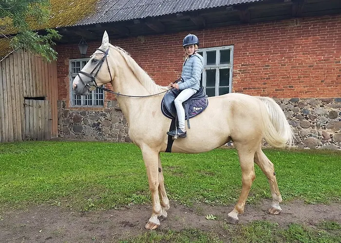 Vendégház River Rose Jõesuu